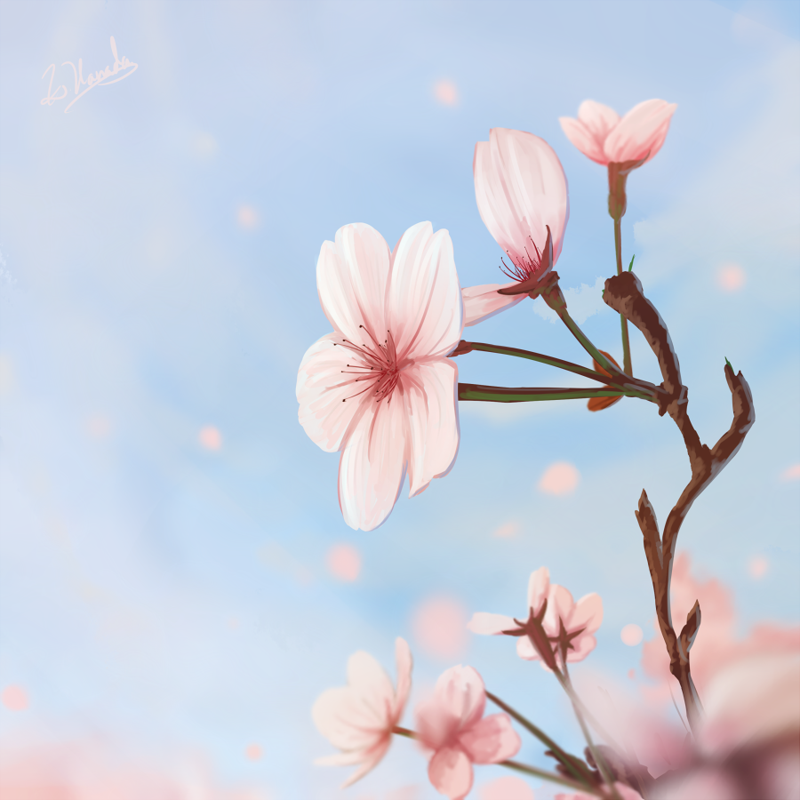 alu.m_(alpcmas) blue_sky day falling_petals flower no_humans original outdoors petals pink_flower sky