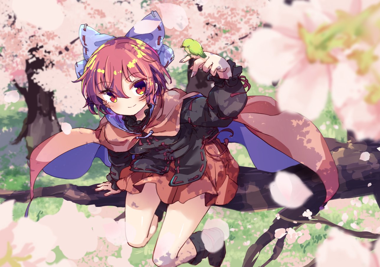 1girl bird bird_on_hand blush bow cape cherry_blossoms closed_mouth commentary full_body hair_bow isu_(is88) long_sleeves looking_at_viewer red_cape red_eyes red_skirt redhead sekibanki short_hair sitting_on_branch skirt touhou tree