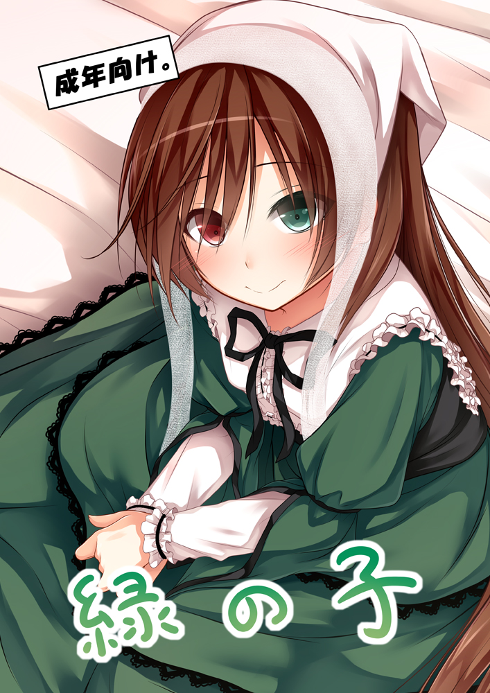 1girl black_ribbon blush brown_hair closed_mouth collared_dress comiket_85 commentary_request cover cover_page cowboy_shot doujin_cover dress eyes_visible_through_hair frilled_dress frilled_shirt_collar frills green_dress green_eyes hair_between_eyes haryuu_(poetto) head_scarf heterochromia lace lolita_fashion long_dress long_hair long_sleeves looking_at_viewer medium_bangs neck_ribbon red_eyes ribbon rozen_maiden smile solo split_mouth suiseiseki translation_request very_long_hair