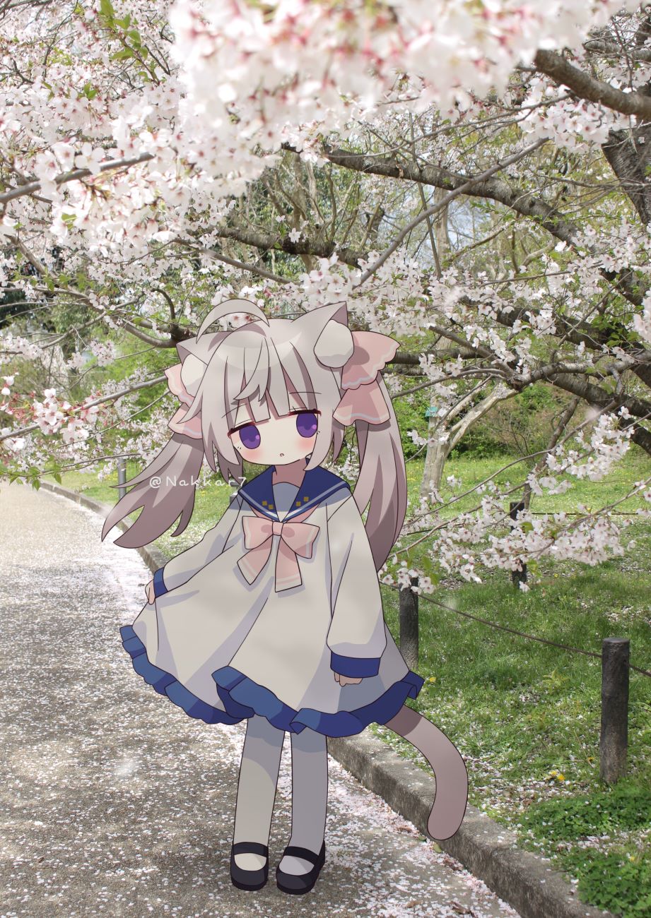 1girl :o ahoge animal_ear_fluff animal_ears black_footwear blue_sailor_collar blurry blurry_foreground blush bow branch cat_ears cat_girl cat_tail day depth_of_field dress flower grey_hair hair_ribbon highres long_hair long_sleeves looking_at_viewer nakkar original outdoors pantyhose parted_lips photo_background pink_bow pink_ribbon puffy_long_sleeves puffy_sleeves ribbon sailor_collar sailor_dress shoes sleeves_past_wrists solo standing tail tree twintails twitter_username violet_eyes watermark white_dress white_flower white_pantyhose