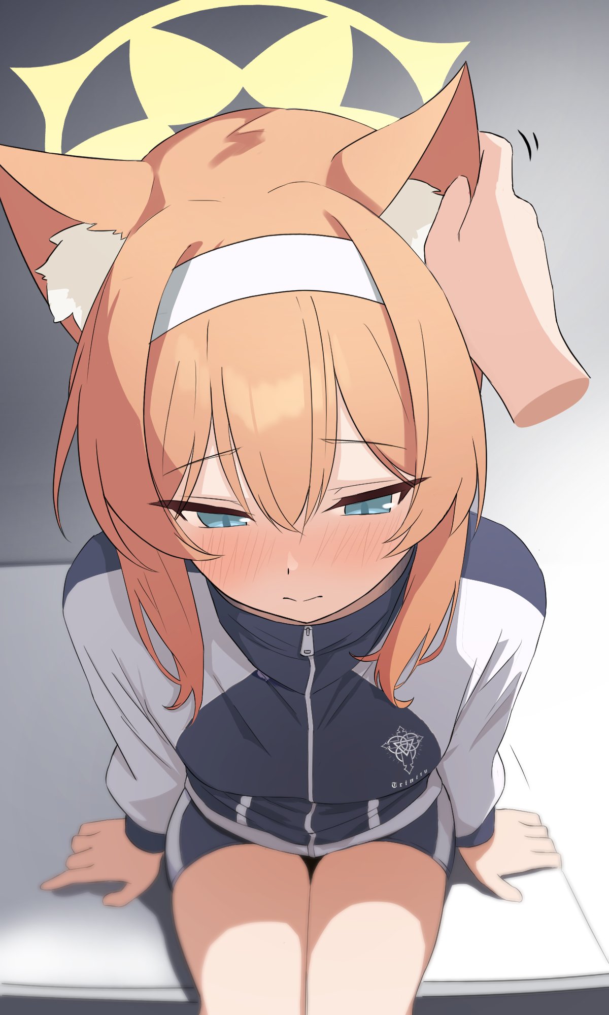 1girl animal_ear_fluff animal_ears arm_support blue_archive blue_eyes blush closed_mouth dutch_angle embarrassed english_commentary foreshortening fox_ears from_above genso_(thereisnosauce) gym_shorts hair_between_eyes hairband halo hand_on_another's_ear highres jacket light_smile long_sleeves looking_down mari_(blue_archive) mari_(track)_(blue_archive) official_alternate_costume orange_hair petting pov pov_hands shorts solo thighs track_jacket white_hairband
