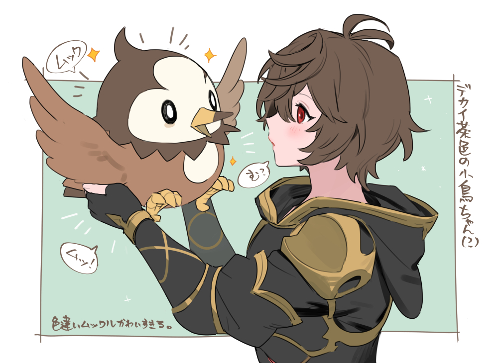 ahoge alternate_color animal armor bird blush breastplate brown_hair commentary_request crossover eyelashes fingerless_gloves gloves granblue_fantasy hair_between_eyes holding holding_animal hood hood_down male_focus messy_hair parted_lips pokemon pokemon_(creature) profile sandalphon_(granblue_fantasy) shiny_pokemon sparkle speech_bubble starly tki translation_request