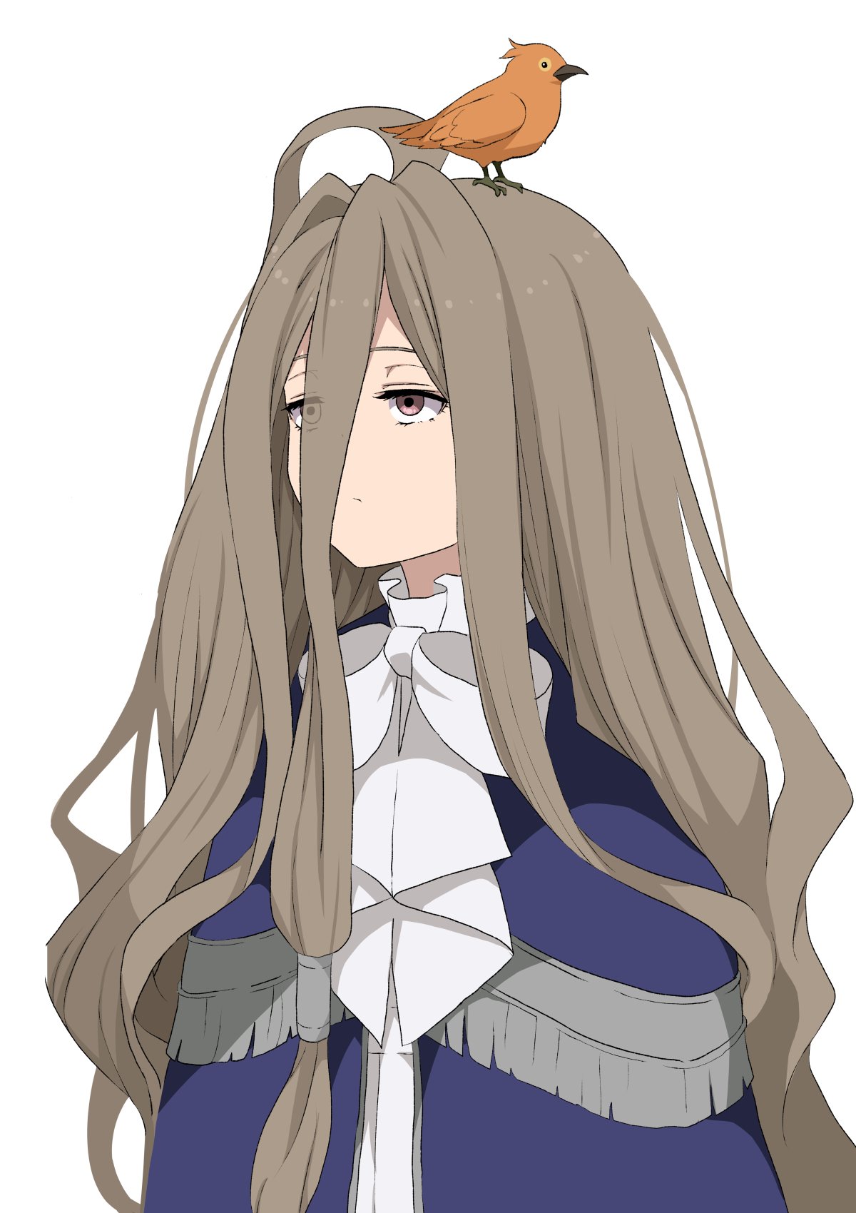 1girl animal_on_head bird blue_capelet bow brown_eyes brown_hair capelet closed_mouth commentary expressionless hair_between_eyes half-closed_eyes highres long_hair on_head sense_(sousou_no_frieren) simple_background solo sousou_no_frieren symbol-only_commentary upper_body very_long_hair white_background white_bow yasehattagi
