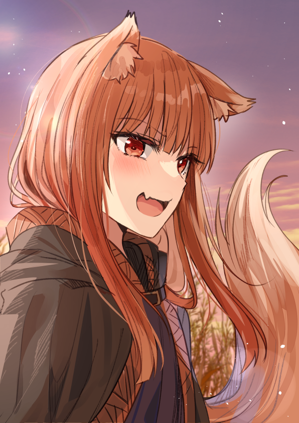 1girl :d animal_ear_fluff animal_ears black_cloak blush brown_eyes chocho_(homelessfox) cloak close-up clouds commentary_request dress dusk fang hair_over_shoulder holo hood hood_down korean_commentary long_hair looking_ahead loose_hair_strand open_mouth outdoors purple_dress purple_sky skin_fang sky smile solo spice_and_wolf star_(sky) tail tree upper_body wolf_ears wolf_girl wolf_tail