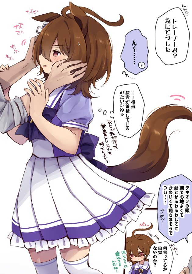 1boy 1girl agnes_tachyon_(umamusume) ahoge animal_ears brown_hair chiyakobu_(ssssooooame) commentary_request earrings grey_shirt hair_between_eyes hand_on_another's_arm hands_on_another's_cheeks hands_on_another's_face horse_ears horse_girl horse_tail huge_ahoge jewelry long_sleeves purple_shirt purple_skirt red_eyes sailor_collar sailor_shirt school_uniform shirt short_hair simple_background single_earring skirt tail tracen_school_uniform trainer_(umamusume) translation_request umamusume white_background