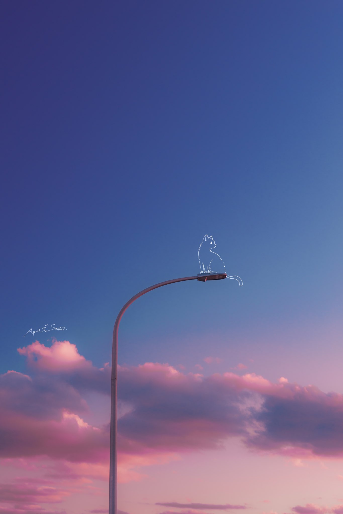 artist_name blue_sky cat clouds cloudy_sky commentary_request evening full_body gradient_sky greyscale_with_colored_background highres lamppost no_humans original outdoors photo_(medium) photo_background pink_sky sara_(sara2626_if) scenery signature sky solo wide_shot