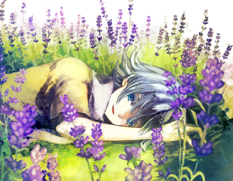 aofujiake blue_eyes boy flower fubuki_shirou grass inazuma_eleven lying male scarf smile solo white_hair