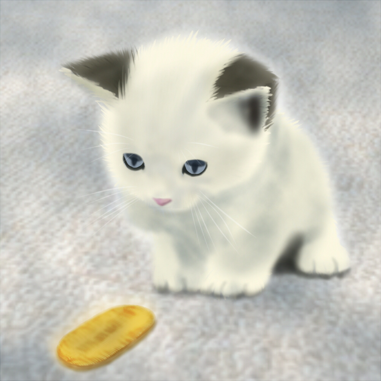 amulet_coin blue_eyes cat cat_focus coin estel kitten no_humans