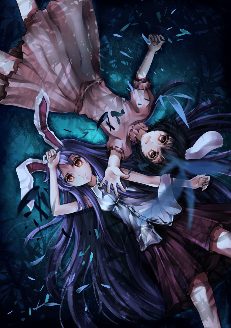 :d altoris_(scee) animal_ears bad_id bare_shoulders black_hair bunny_ears foreshortening from_above inaba_tewi long_hair looking_at_viewer lying multiple_girls night on_back open_mouth orange_eyes outstretched_arms outstretched_hand purple_hair reisen_udongein_inaba shade short_hair sleeveless_shirt smile touhou very_long_hair