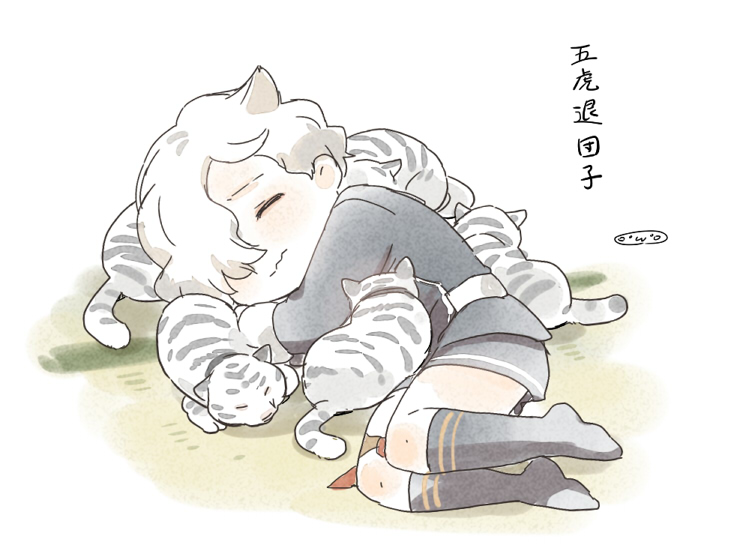 1boy closed_eyes gokotai hair_over_one_eye lying male_focus mizuhara_aki no_shoes on_side shorts sleeping socks solo tiger tiger_cub touken_ranbu wavy_mouth white_background white_tiger