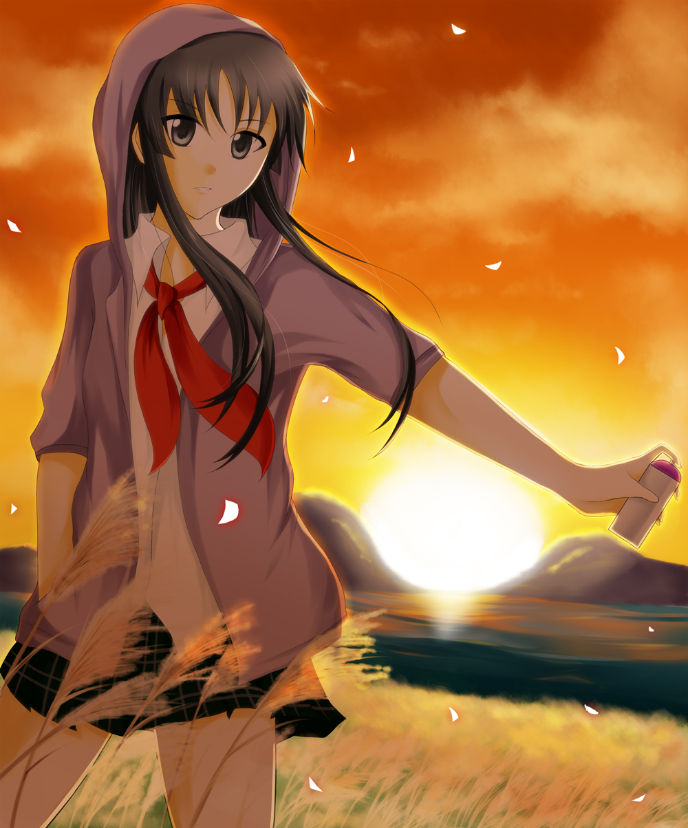 black_eyes black_hair highres hime_cut hoodie k-on! long_hair no_thank_you no_thank_you! petals plaid plaid_skirt pleated_skirt school_uniform skirt solo spray_can sun sunset tartan water wheat yuu_yoshimi