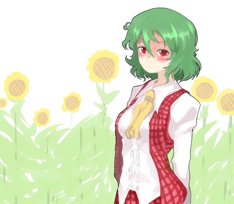 arms_behind_back ascot between_breasts blouse blush clothes_between_breasts clothing_between_breasts flower frown green_hair kazami_yuuka oso oso_(toolate) plaid plaid_skirt plaid_vest red_eyes skirt skirt_set solo sunflower touhou untucked white_background youkai