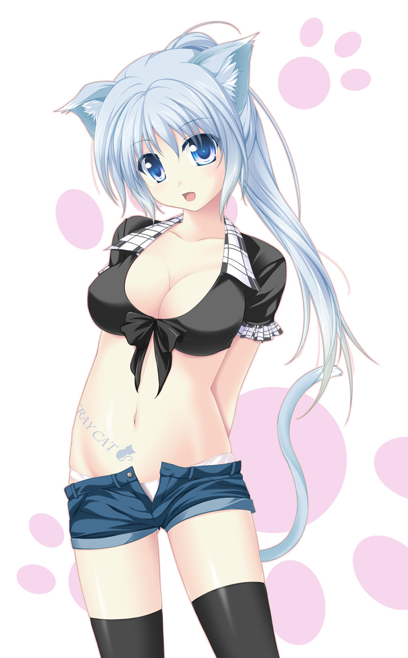 1girl animal_ears black_legwear black_thighhighs blue_eyes blue_hair breasts cat_ears cat_tail cleavage crop_top english female highres navel open_fly open_mouth original panties pants paw_print ponytail short_shorts shorts solo tail tattoo thigh-highs thighhighs underwear unzipped