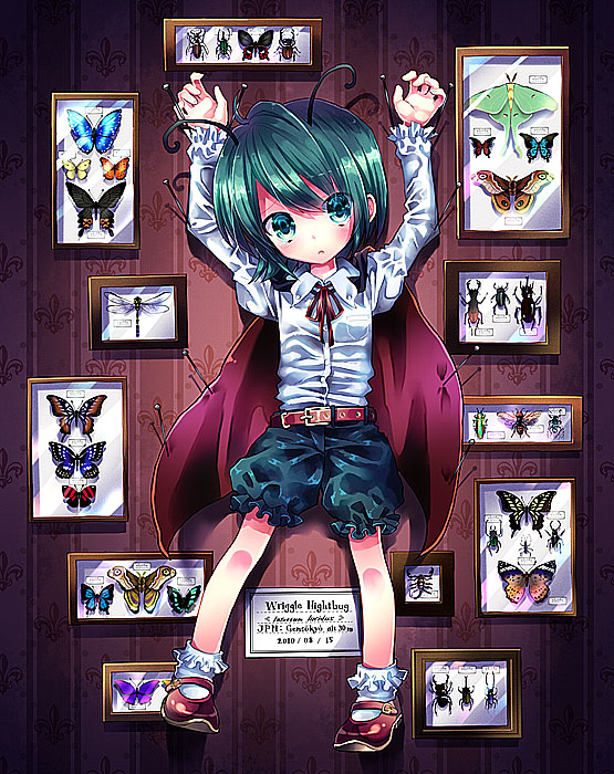 belt bug moth pinned touhou wriggle_nightbug