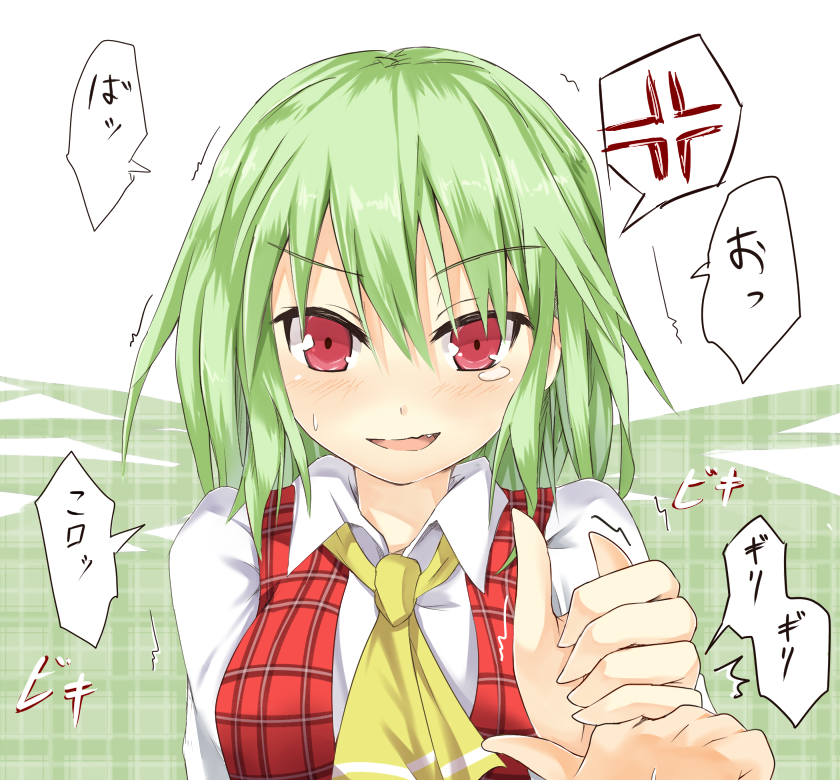 anger_vein angry ascot blush efe embarrassed face green_hair kazami_yuuka open_mouth plaid plaid_vest red_eyes short_hair solo tartan tears touhou translated tsundere youkai