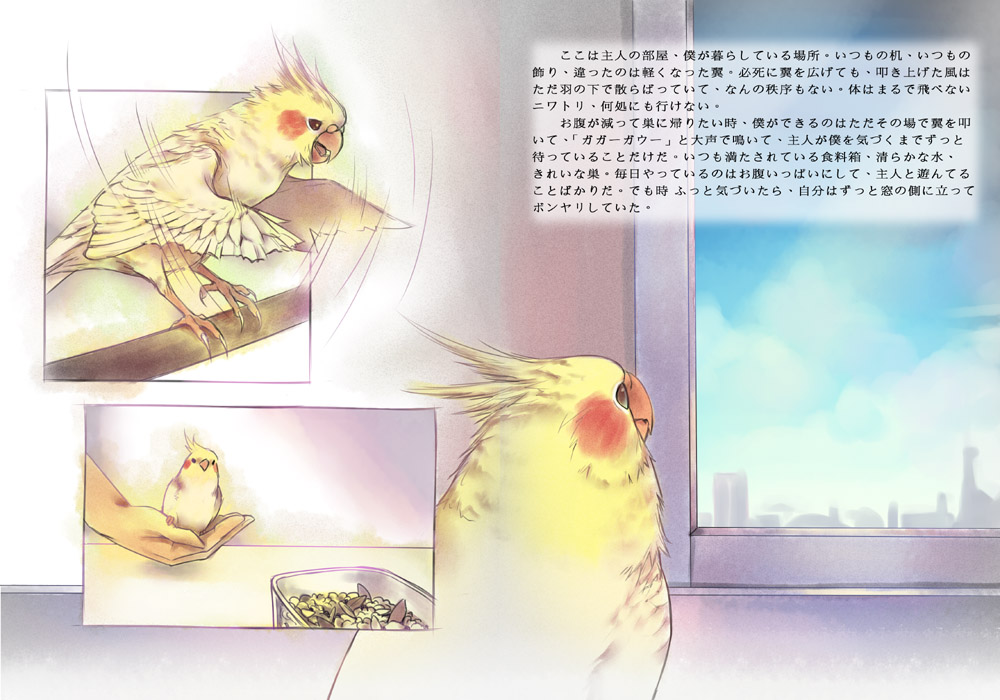 cockatiel comic era_(traveling_bird) fishball hands original parrot translated translation_request window wings