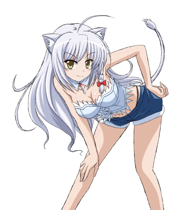 animal_ears bare_legs braid breasts brown_eyes bustier cat_ears cat_tail cleavage dog_days hand_on_thigh leaning_forward legs leonmitchelli_galette_des_rois lingerie lion_ears lion_tail long_hair long_legs midriff short_shorts shorts smile solo tail thighs underwear vfenster whale_tail white_hair yellow_eyes