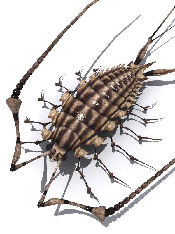 3d antennae deino insect maeda_koutarou nato-kun no_humans original simple_background