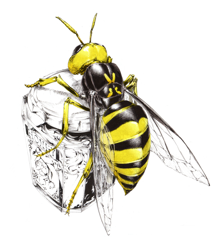 bee copyright_request honey hornet insect jar no_humans realistic sawasawa simple_background spot_color wasp wings
