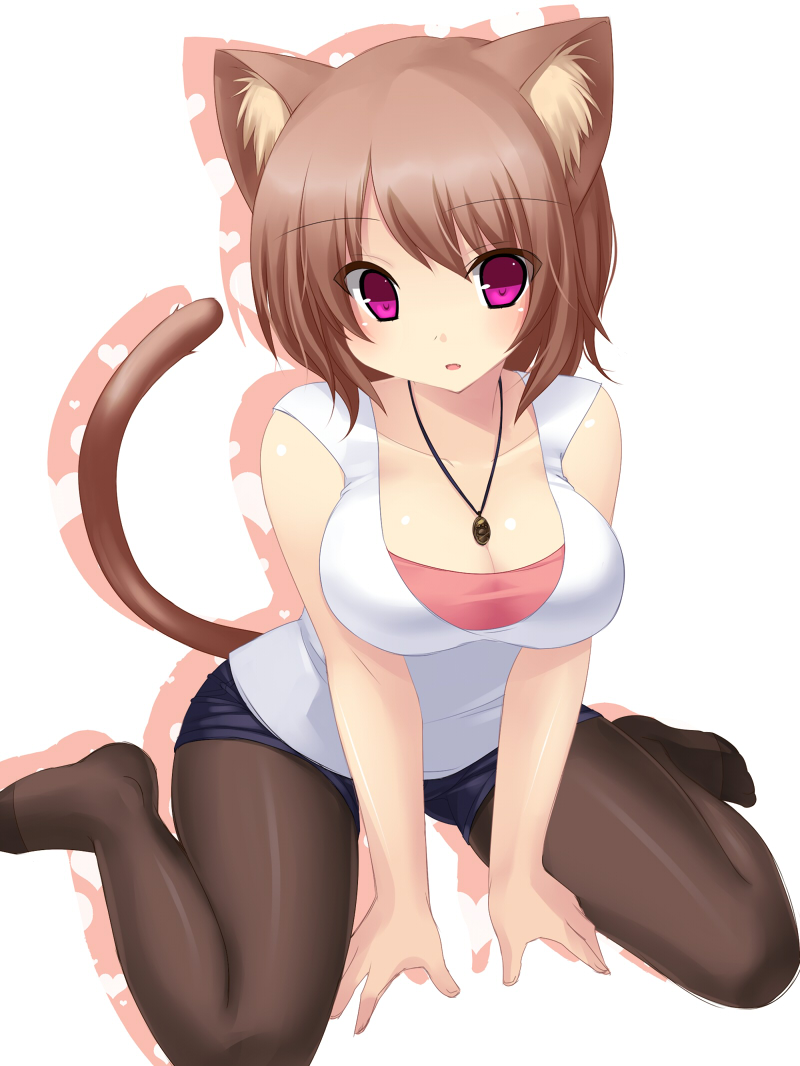 1girl animal_ears arm_support bad_id between_thighs black_legwear breasts brown_hair cat_ears cat_tail catgirl cleavage collarbone feet female jewelry kneeling large_breasts legwear_under_shorts necklace open_mouth original pantyhose purple_eyes short_shorts shorts sitting solo tail taut_shirt tsukumiya_amane violet_eyes wariza