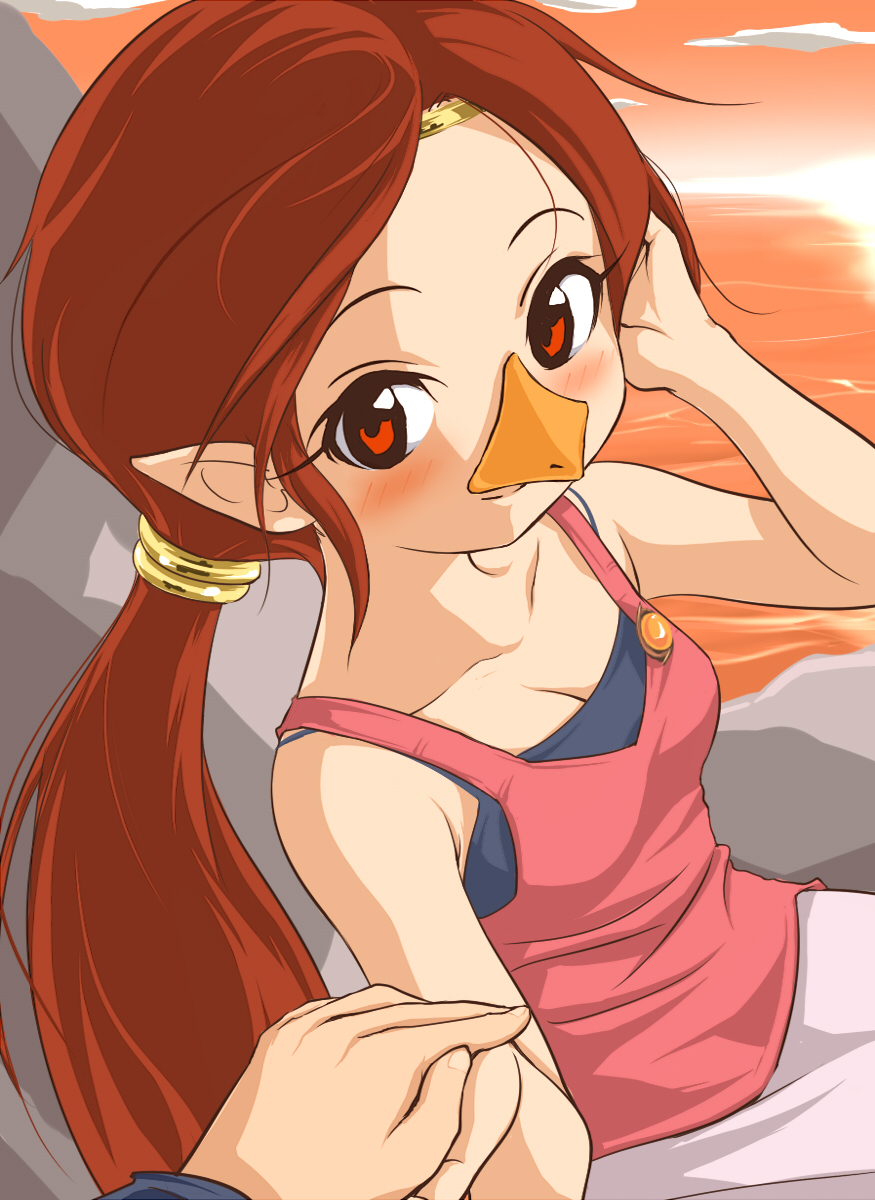 blush breasts brown_eyes brown_hair chenge-getter cleavage headband highres holding_hands long_hair medli pointy_ears ponytail solo the_legend_of_zelda wind_waker