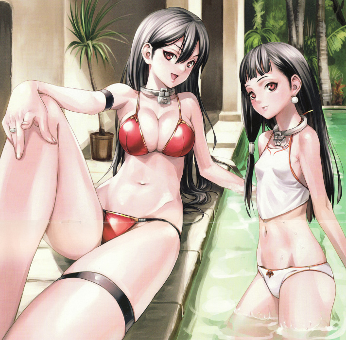 2girls arm_strap artist_request bare_shoulders bikini black_hair breasts brother_and_sister cleavage collar long_hair multiple_girls nakano_tomokazu navel queen's_blade queen's_blade_rebellion red_bikini red_eyes sainyan siblings smile source_request swimsuit tarnyan trap twins