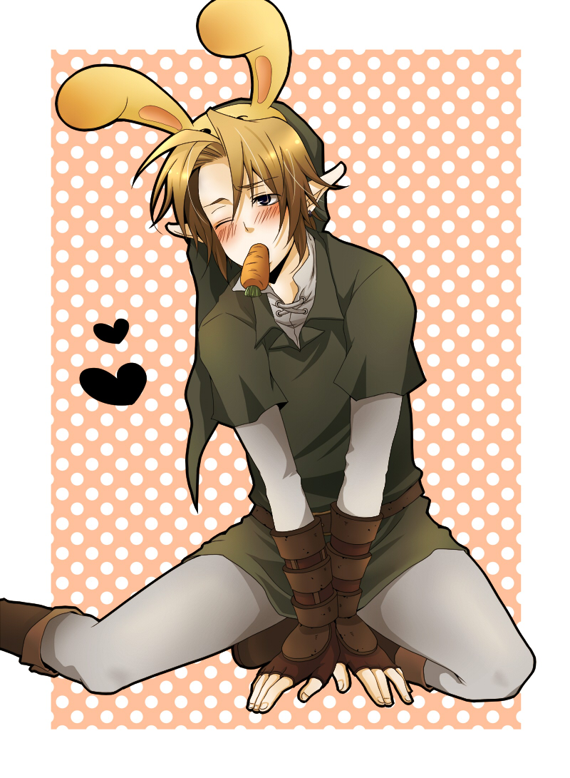 bad_id blush bunny_ears carrot gloves link male nintendo pointy_ears rabbit_ears the_legend_of_zelda wink