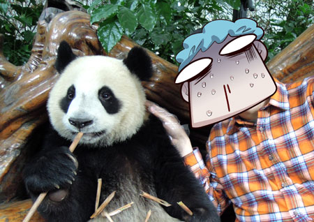 animal blood comic eating giant_panda hat keuma lowres nosebleed original panda petting photo photo_background plaid_shirt shirt sweat