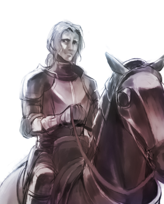 arashi_(chocmint) armor bad_id barding caster_(fate/zero) fate/stay_night fate/zero fate_(series) horse knight male ponytail solo