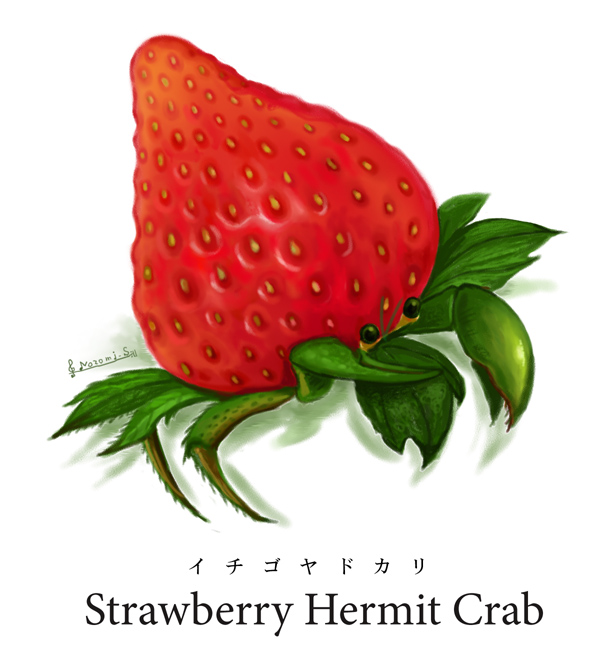 english f-nezumi food fruit hermit_crab shibuya_nozomi strawberry