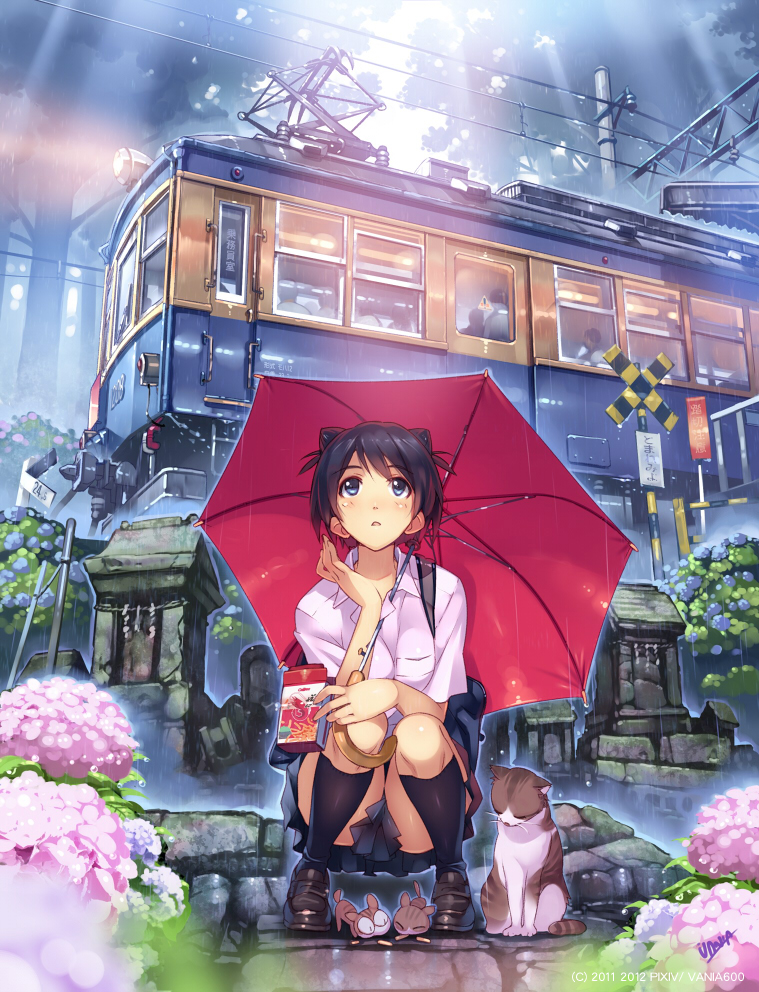 black_eyes black_hair cat flower footwear hydrangea kitten original outdoors rain school_uniform sign skirt sky socks squatting train umbrella vania600