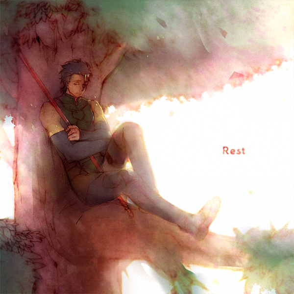 ahoge bad_id black_hair fate/zero fate_(series) gae_dearg in_tree lancer_(fate/zero) male mole pale_color pale_colors polearm scr.e short_hair sitting sleeping spear tree weapon