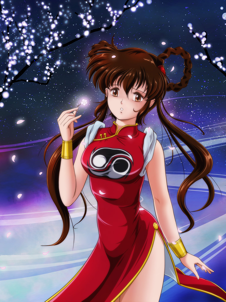 bracer braid brown_eyes brown_hair china_dress chinese_clothes flower long_hair mamono_hunter_youko mano_youko parted_lips petals sky solo star_(sky) starry_sky tamanegiinyo twin_braids yin_yang