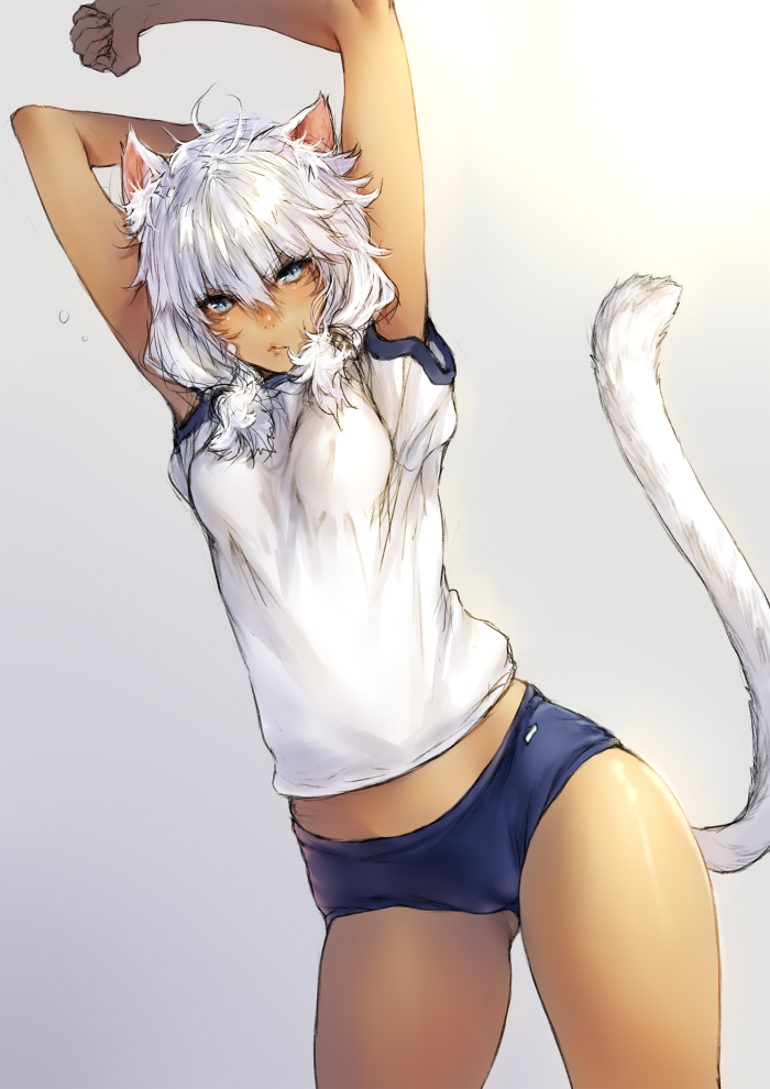 animal_ears arms_behind_head arms_up buruma cat_ears cat_tail facial_mark final_fantasy final_fantasy_xiv gym_uniform low_twintails makimura_shunsuke messy_hair miqo'te miqo'te short_hair slit_pupils solo stretch stretching tail white_hair y'shtola