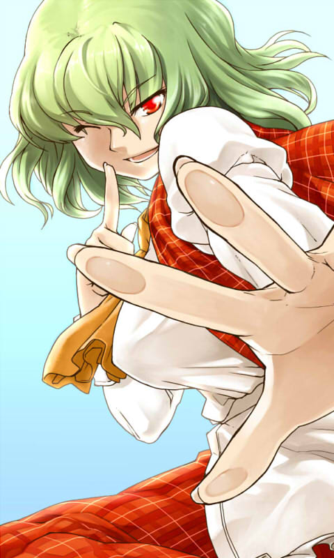 ascot breasts fourth_wall green_hair hands index_finger_raised kazami_yuuka phenne plaid plaid_vest raised_finger red_eyes shirt short_hair skirt smile solo touching touhou vest wink youkai