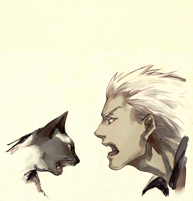 archer cat crimo dark_skin fate/stay_night fate_(series) grey_eyes male open_mouth profile white_hair