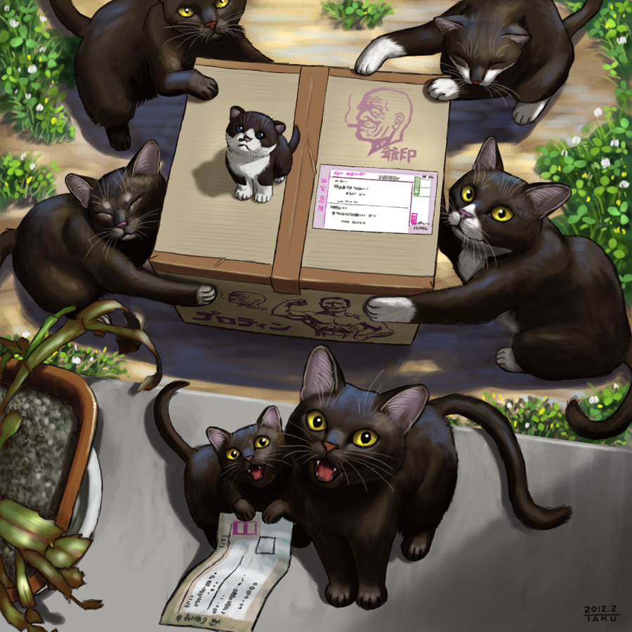 :3 animal black_cat box cardboard_box cat closed_eyes dated eyes_closed fang from_above holding kitten letter matata-cat matataku monita_(matataku) no_humans open_mouth original package perspective plant pun signature too_many_cats translated whiskers yellow_eyes young