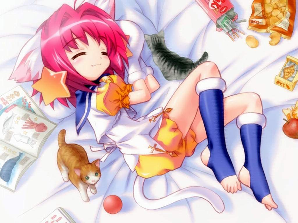 blush catgirl knee_socks loli nekomimi seifuku sleeping tail