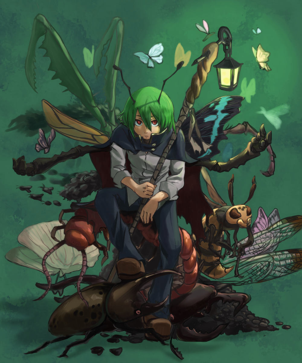 androgynous antennae bee beetle bug butterfly cape centipede fly green_hair highres lantern moth pants red_eyes reverse_trap shirt short_hair sitting staff touhou wings wriggle_nightbug