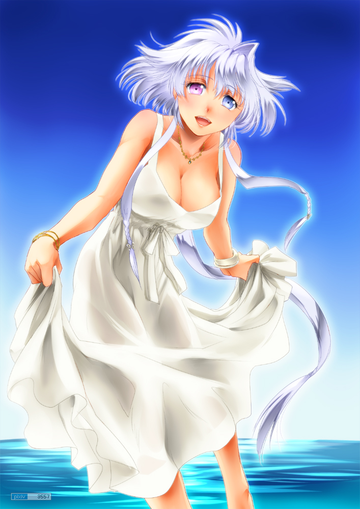 :d blue_eyes blush bracelet breasts cleavage dress heterochromia jewelry large_breasts lavolpe_(yagisaka_seto) long_hair looking_at_viewer necklace open_mouth original payot purple_eyes silver_hair skirt_hold smile solo very_long_hair violet_eyes water yagisaka_seto