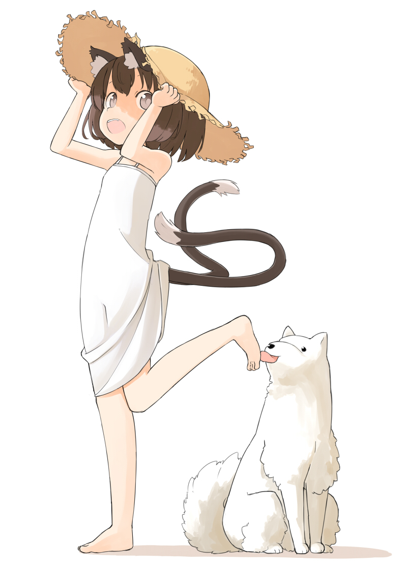 alternate_costume animal_ears barefoot brown_eyes brown_hair cat_ears cat_tail chen dog dress foot_licking hat hat_tug licking nakashino_setsu open_mouth short_hair simple_background solo straw_hat sun_hat tail touhou white_background