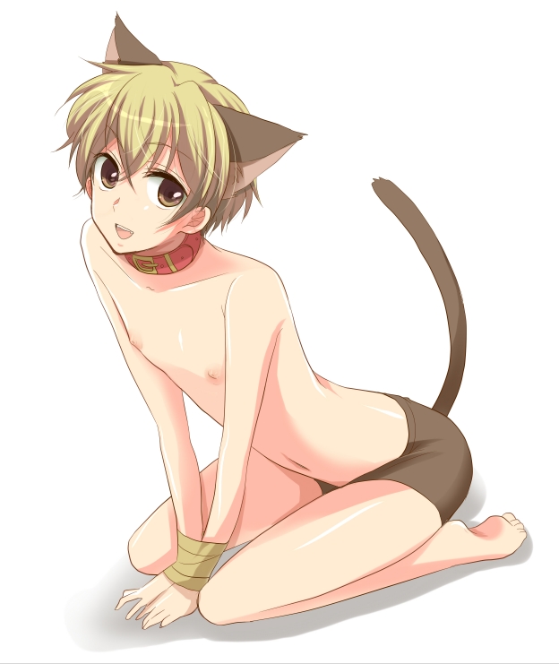 animal_ears bad_id blonde_hair bound_wrists boy cat_ears cat_tail catboy collar fang hiroichi igarashi_taichi kichiku_glasses male shirtless short_hair shota smile solo tail tape tied yellow_eyes