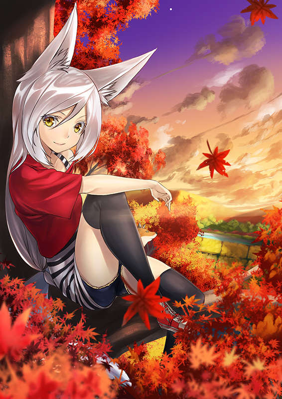 animal_ears autumn_leaves black_legwear cloud clouds fox_ears fox_tail kyon_(fuuran) leaf looking_at_viewer monster_girl original short_shorts shorts silver_hair sitting sky smile solo striped tail thigh-highs thighhighs tree yellow_eyes yukimi_dango