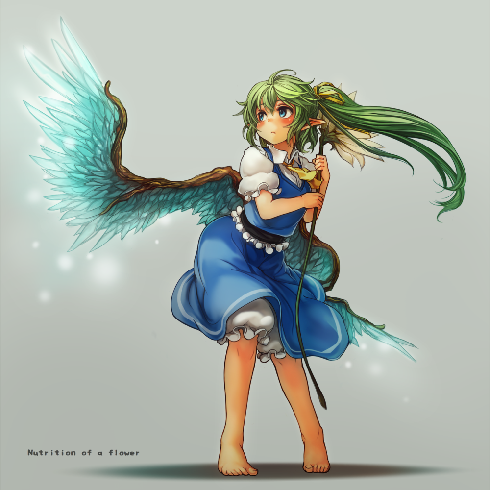 alternate_wings barefoot blue_eyes blush daiyousei feathers feet flower full_body green_hair grey_background holding long_hair looking_up pointy_ears sachito side_ponytail simple_background skirt solo standing tiptoes touhou wind wings