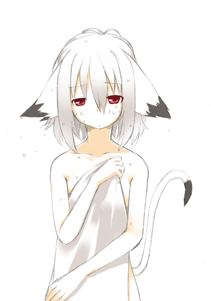 1girl animal_ears cat_ears cat_tail covering flat_chest looking_at_viewer majima_yuki nude nude_cover original red_eyes short_hair simple_background solo tail wet white_background white_hair