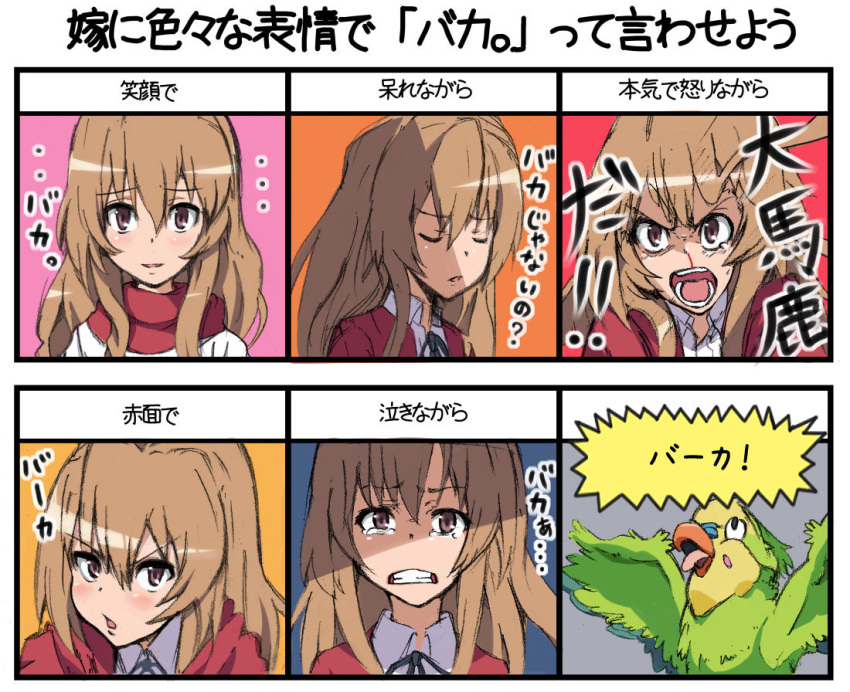 1girl aisaka_taiga bird blush brown_eyes brown_hair chart inko long_hair open_mouth parrot piroshiki ribbon scarf school_uniform smile solo tears toradora! translated