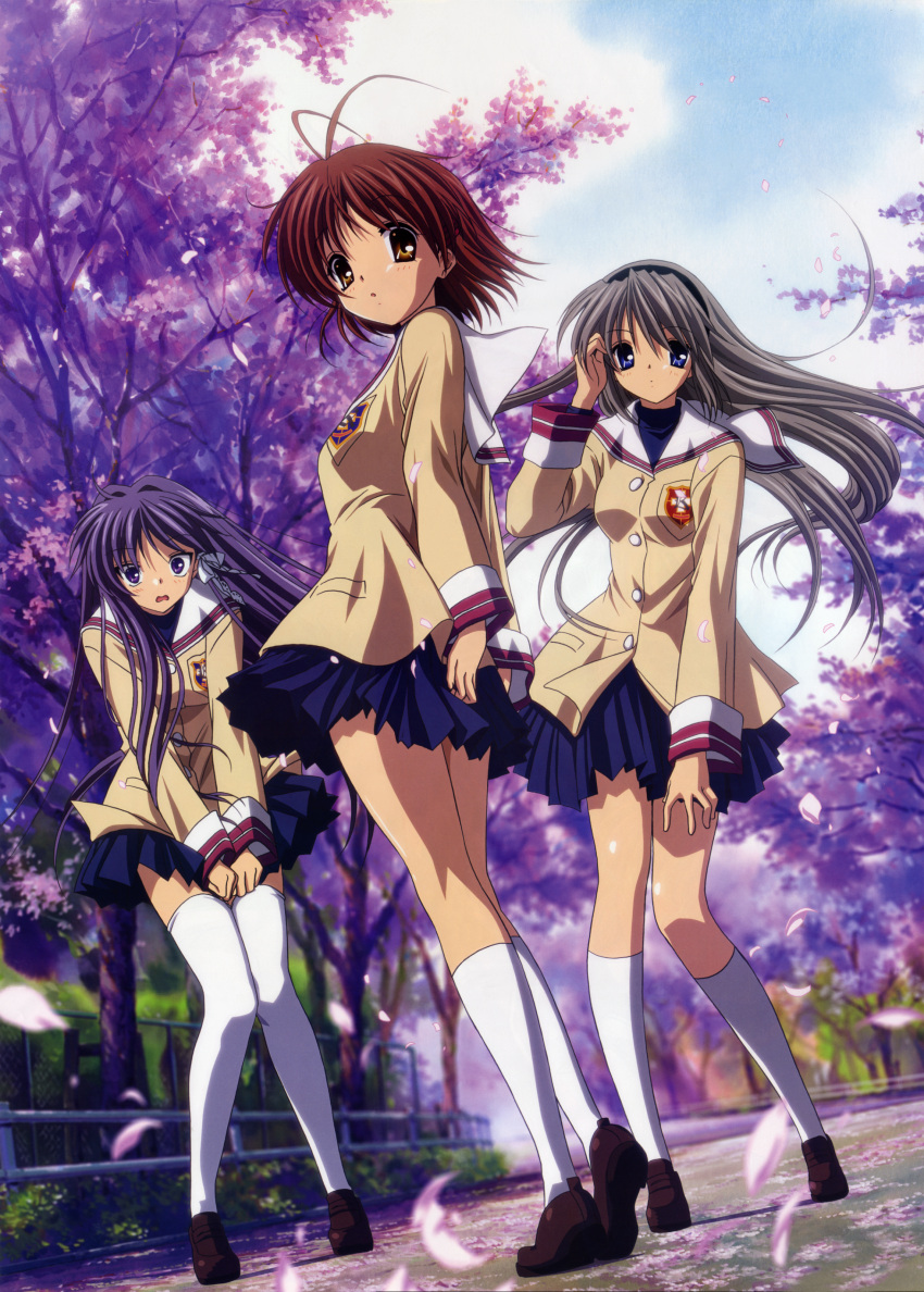 cherry_blossoms clannad duplicate fujibayashi_kyou furukawa_nagisa ikeda_kazumi multiple_girls sakagami_tomoyo school_uniform seifuku thigh-highs