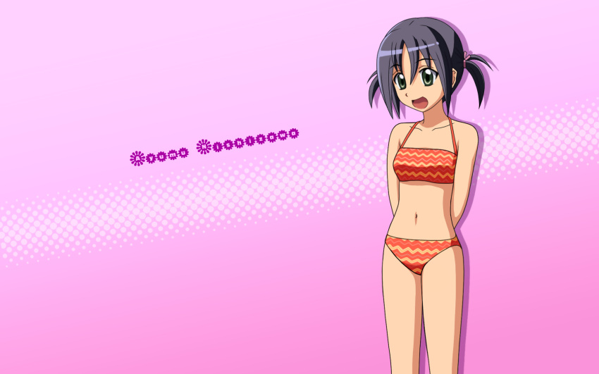 bikini hayate_no_gotoku! navel nishizawa_ayumu swimsuit wallpaper