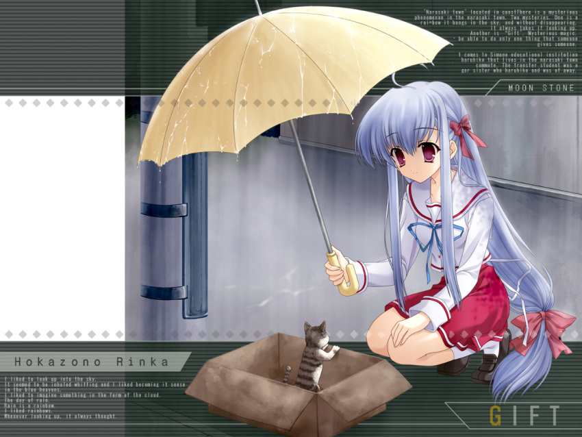 box cardboard_box cat for_adoption gift hozazono_rinka in_container long_hair rain red_eyes ribbons school_uniform seifuku umbrella wet_clothes