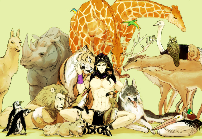 1boy aonekonbu bird black_hair cars_(jojo) deer giraffe jojo_no_kimyou_na_bouken lion long_hair monkey ostrich owl penguin rabbit rhinoceros squirrel stork tiger weasel wolf